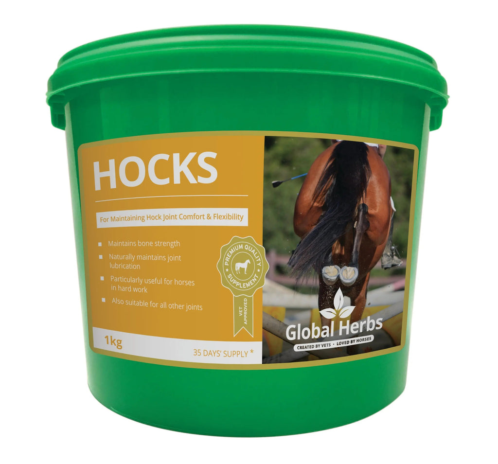 Hocks Horse Joint Supplement – Hock Support & Mobility
