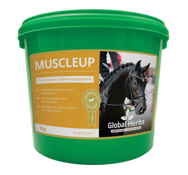 MuscleUp Horse Muscle & Topline Support Supplement (1kg) | Global Herbs