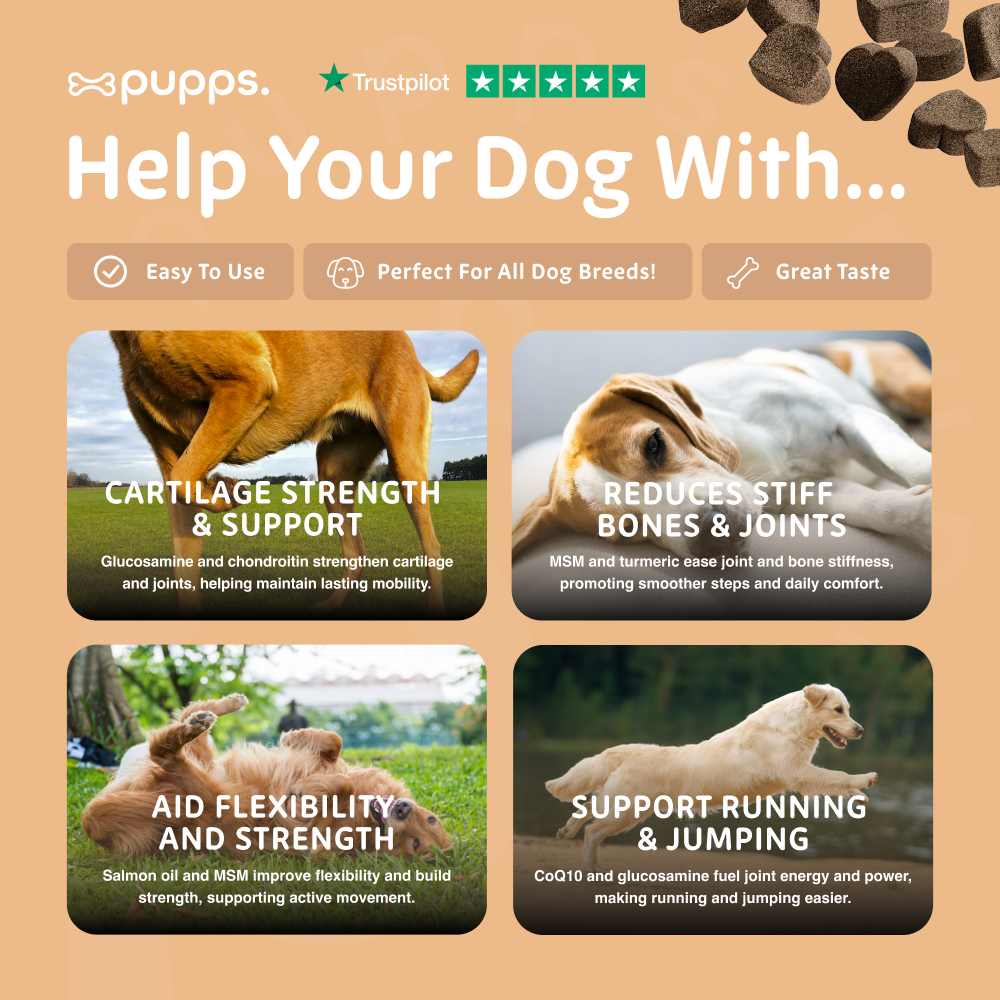 Pupps Hip & Joint Treats | Natural Joint Support for Dogs