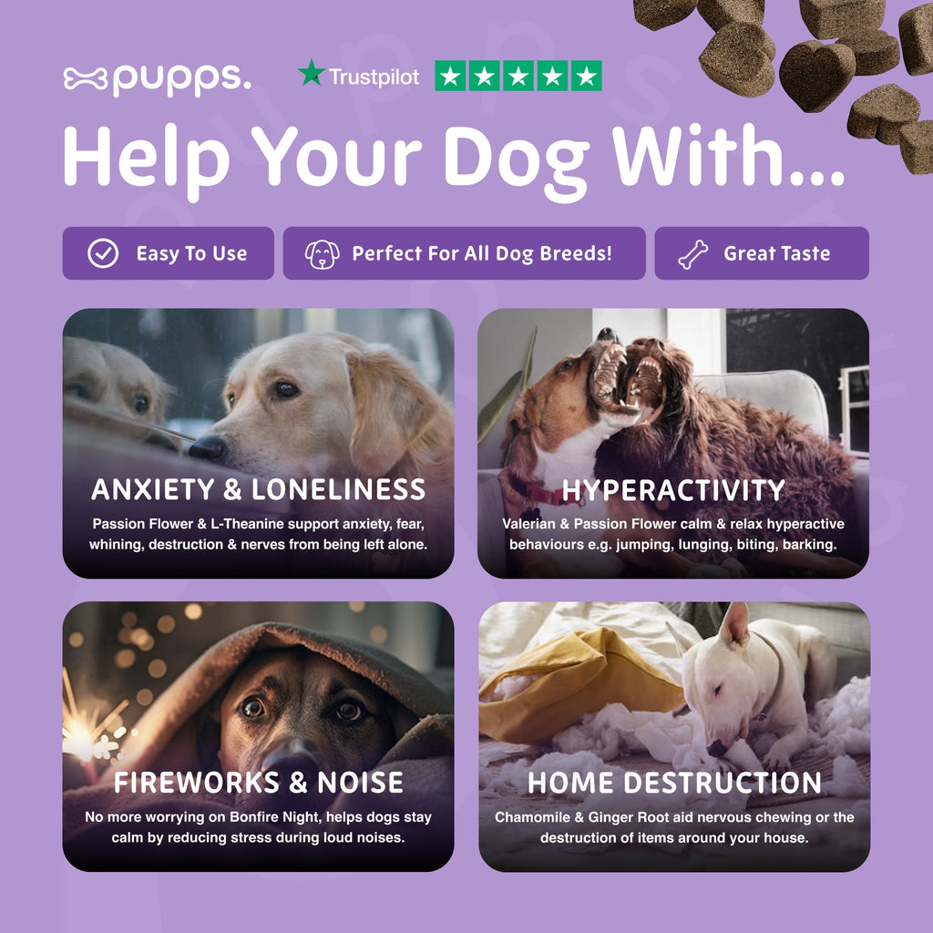 Pupps Calming Treats | Natural Dog Anxiety & Relaxation Treats