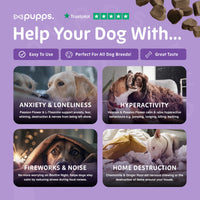 Pupps Calming Treats | Natural Dog Anxiety & Relaxation Treats