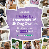 Pupps Calming Treats | Natural Dog Anxiety & Relaxation Treats