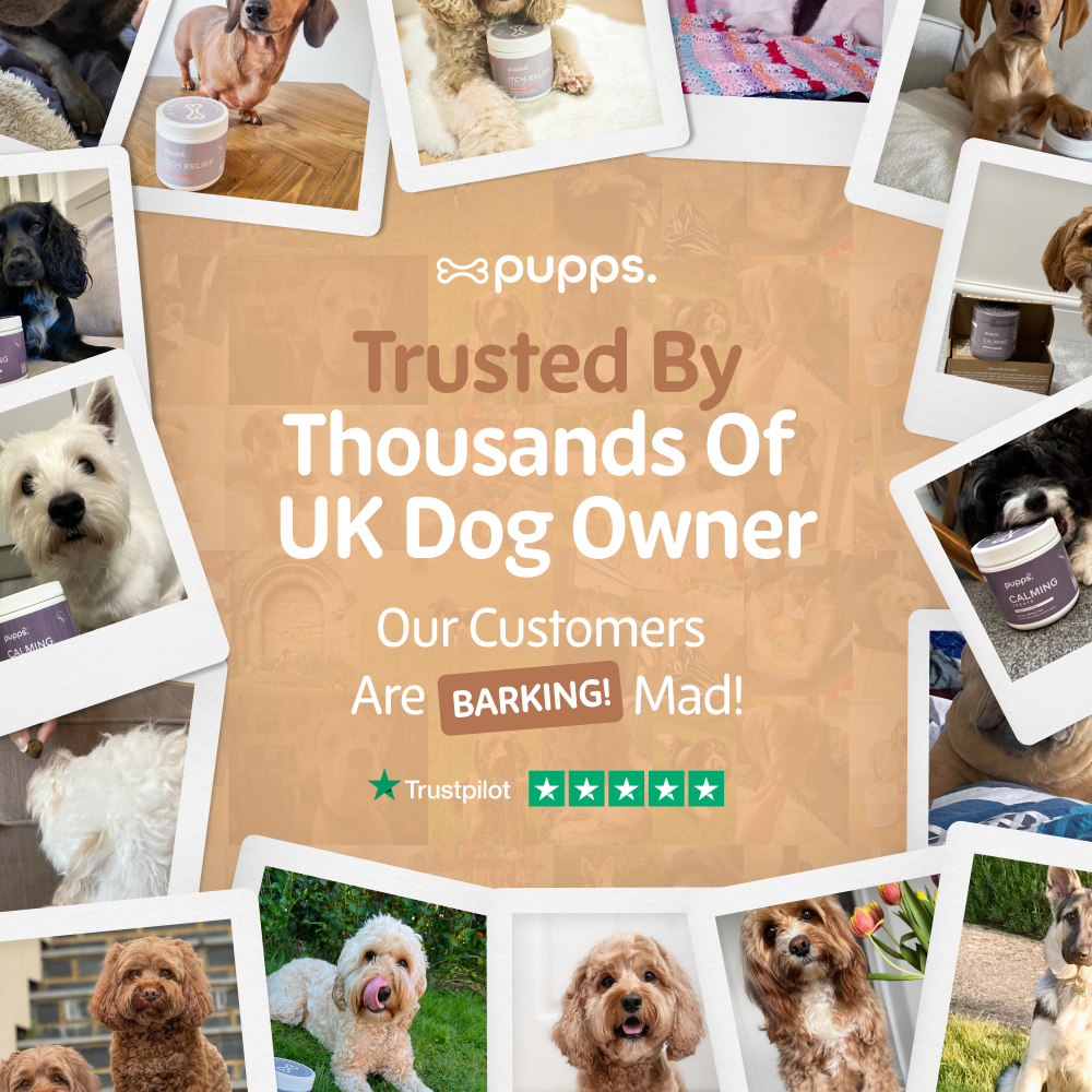 Pupps Hip & Joint Treats | Natural Joint Support for Dogs