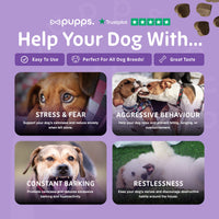 Pupps Calming Treats | Natural Dog Anxiety & Relaxation Treats