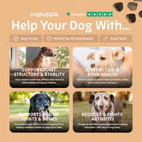 Pupps Hip & Joint Treats | Natural Joint Support for Dogs