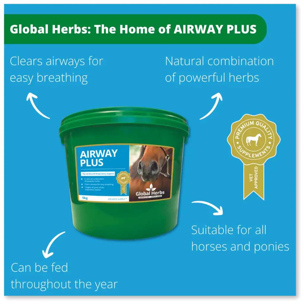 Global Herbs Airway Plus | Horse Respiratory Support Supplement