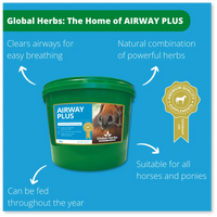 Global Herbs Airway Plus | Horse Respiratory Support Supplement