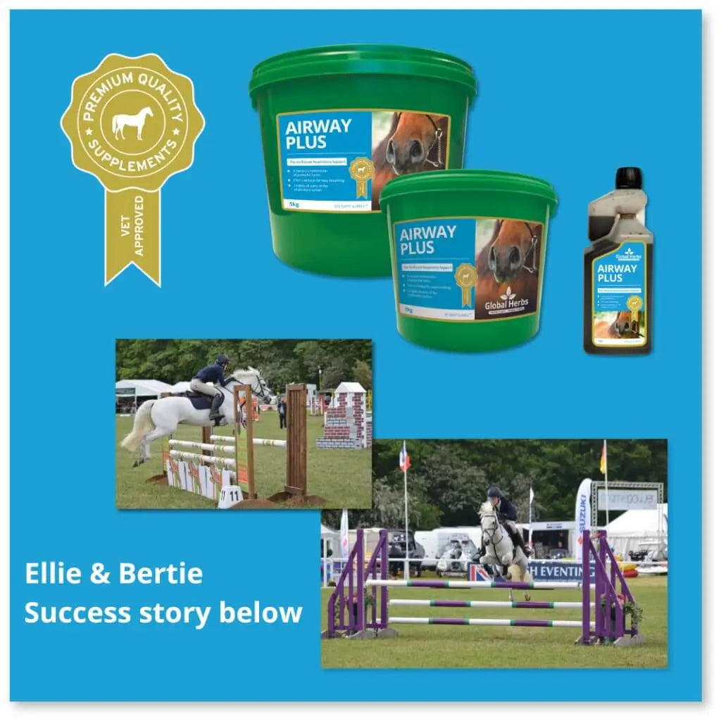 Global Herbs Airway Plus | Horse Respiratory Support Supplement