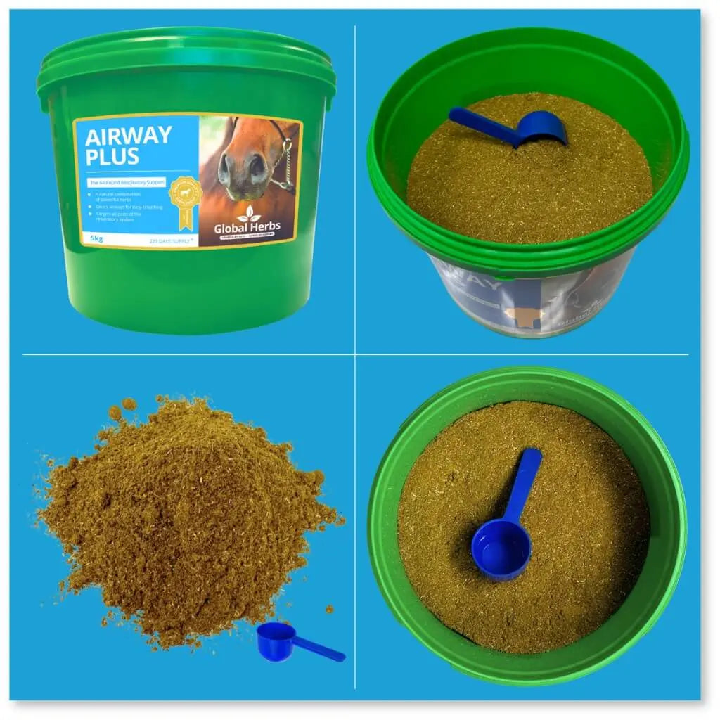 Global Herbs Airway Plus | Horse Respiratory Support Supplement