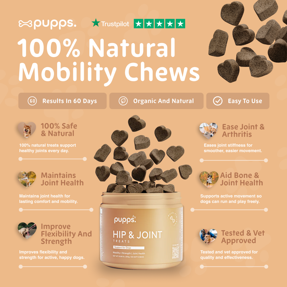 Pupps Hip & Joint Treats | Natural Joint Support for Dogs