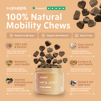 Pupps Hip & Joint Treats | Natural Joint Support for Dogs