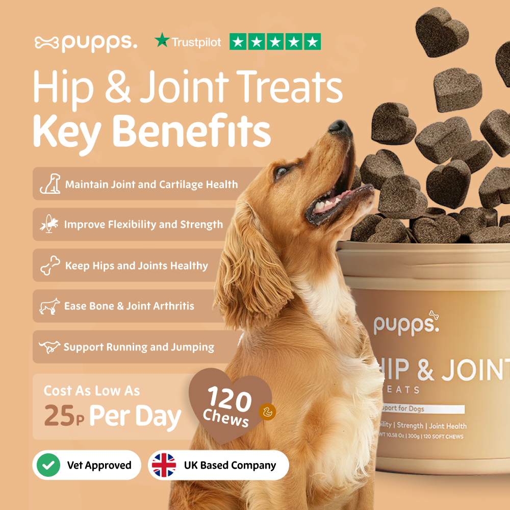 Pupps Hip & Joint Treats | Natural Joint Support for Dogs