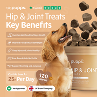 Pupps Hip & Joint Treats | Natural Joint Support for Dogs