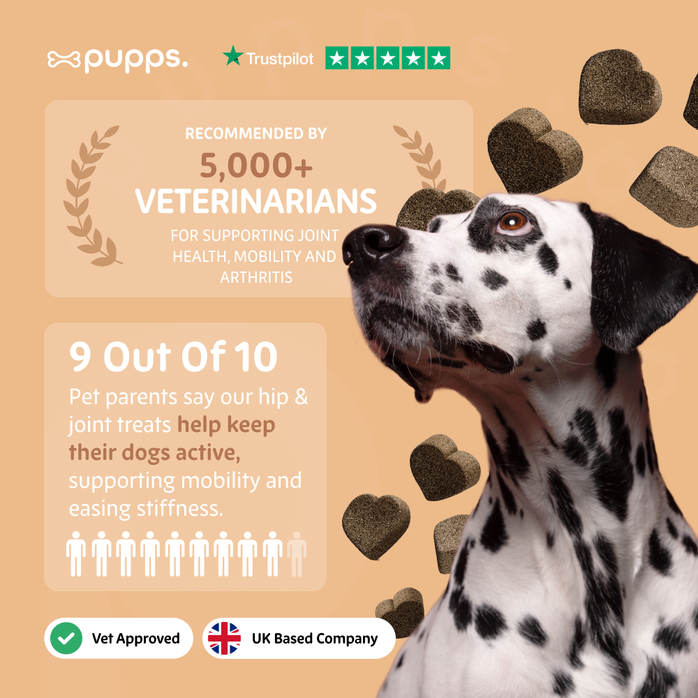Pupps Hip & Joint Treats | Natural Joint Support for Dogs