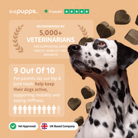 Pupps Hip & Joint Treats | Natural Joint Support for Dogs