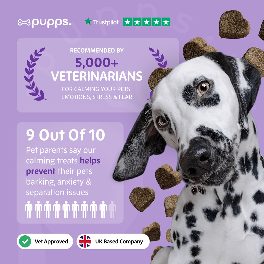 Pupps Calming Treats | Natural Dog Anxiety & Relaxation Treats