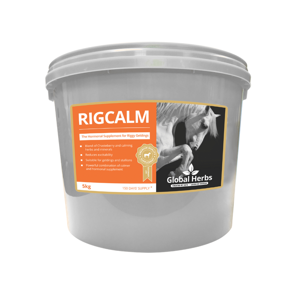 RigCalm Horse Supplement | Hormonal & Behaviour Support