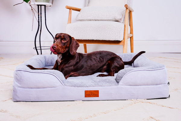 Orthopaedic Dog Sofa Bed Medium – Memory Foam Support | CJ Rovers