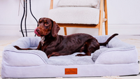 Orthopaedic Dog Sofa Bed Medium – Memory Foam Support | CJ Rovers