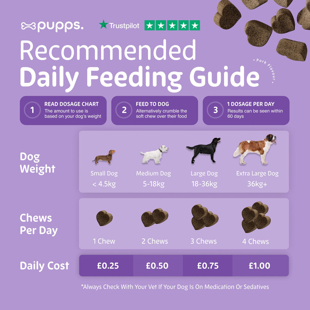 Pupps Calming Treats | Natural Dog Anxiety & Relaxation Treats