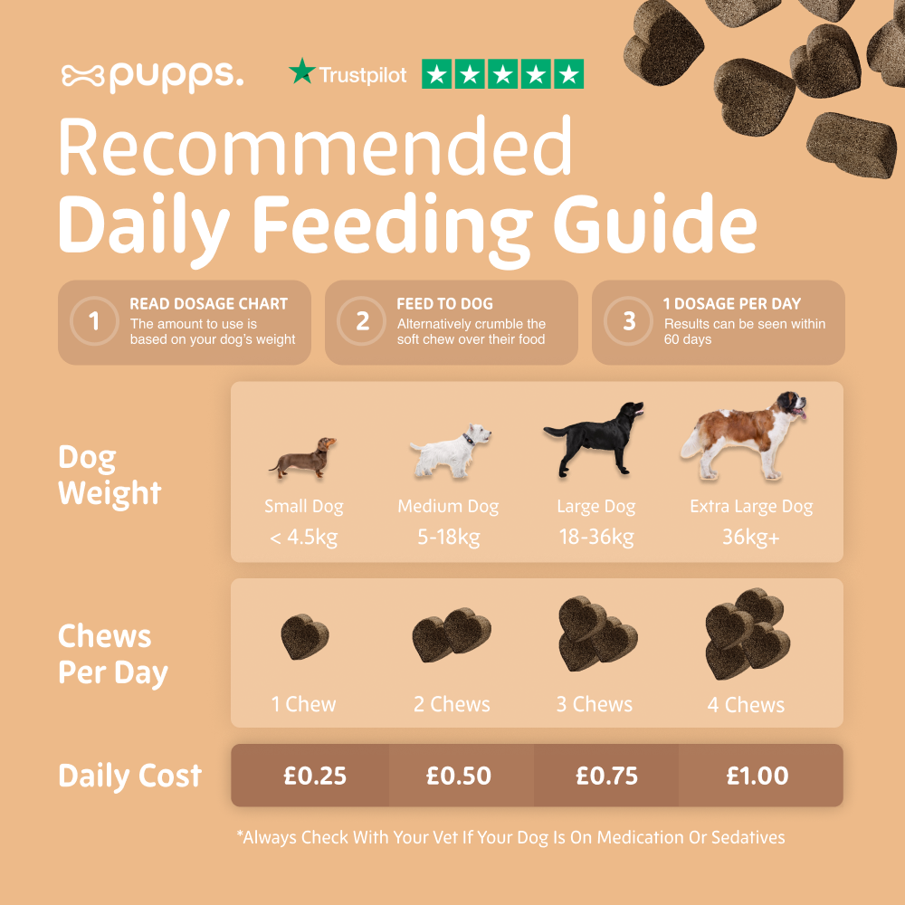 Pupps Hip & Joint Treats | Natural Joint Support for Dogs