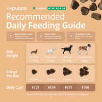 Pupps Hip & Joint Treats | Natural Joint Support for Dogs