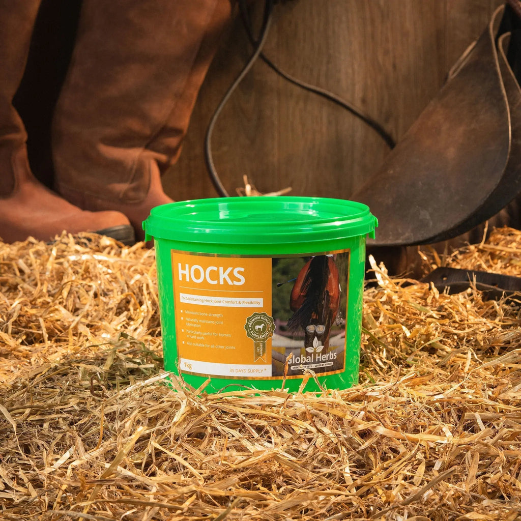 Hocks Horse Joint Supplement – Hock Support & Mobility