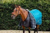 50g Horse Rug Liner – Lightweight, Breathable & Easy Fit | CJ Rovers