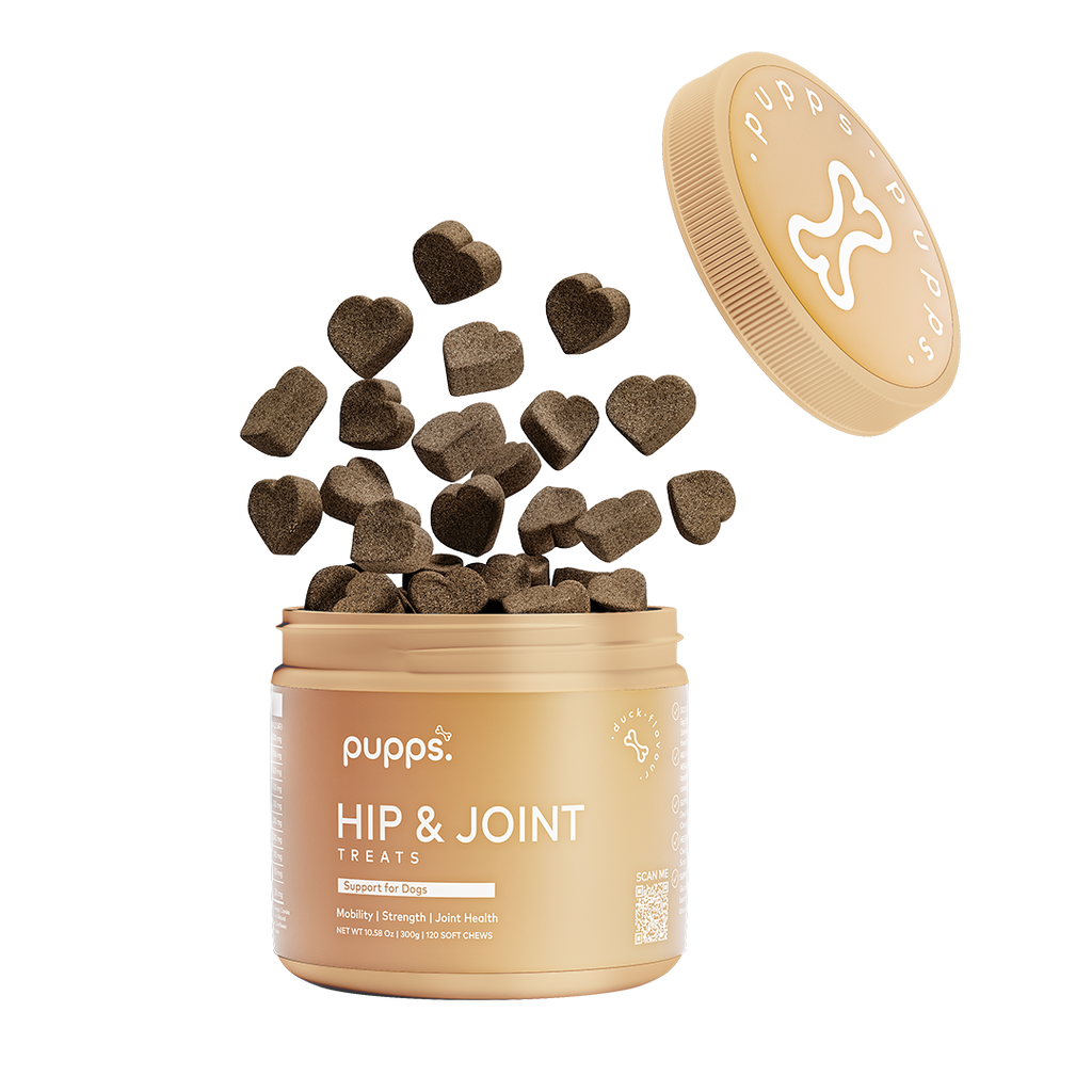 Pupps Hip & Joint Treats | Natural Joint Support for Dogs