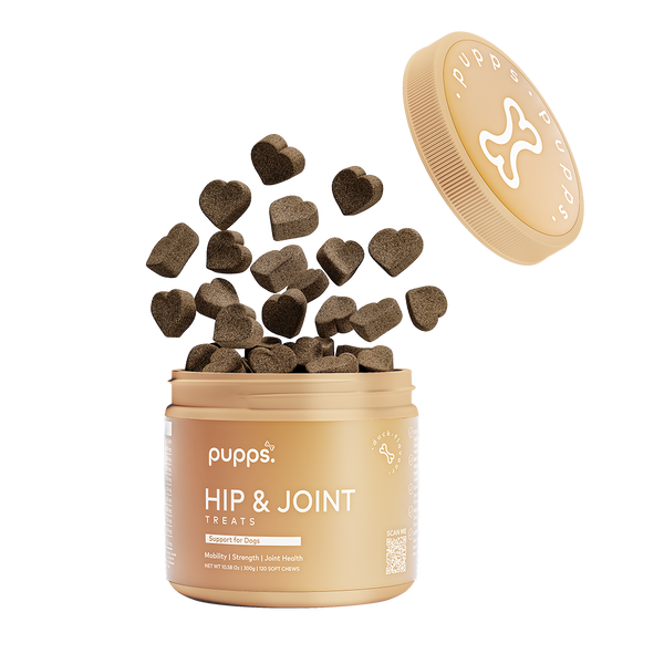 Pupps Hip & Joint Treats | Natural Joint Support for Dogs